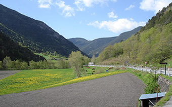Canvi